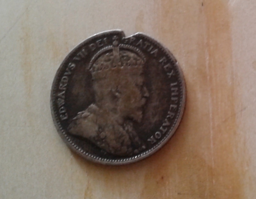 I-Am-New,-And-Need-Help...buffalo-Nickels